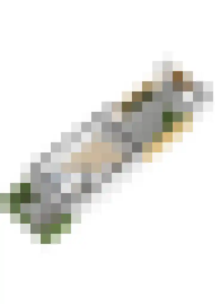 Beukenlaan 6 Woudenberg thumbnail 52
