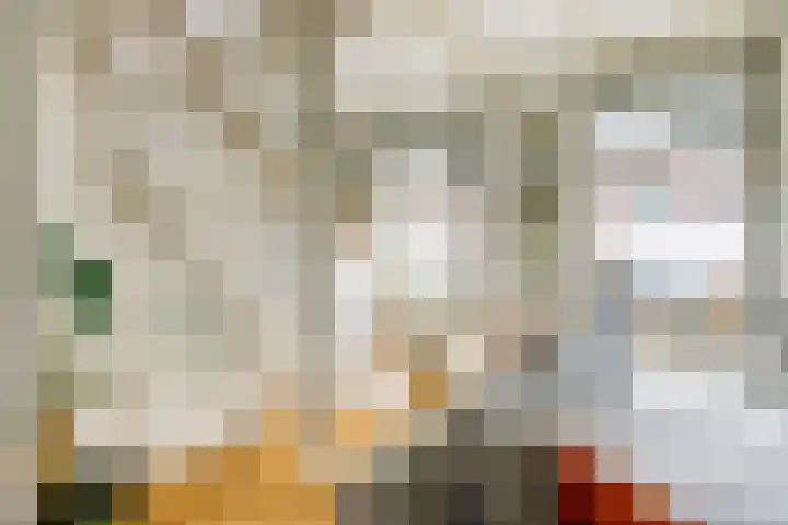 Beukenlaan 6 Zaandijk thumbnail 12