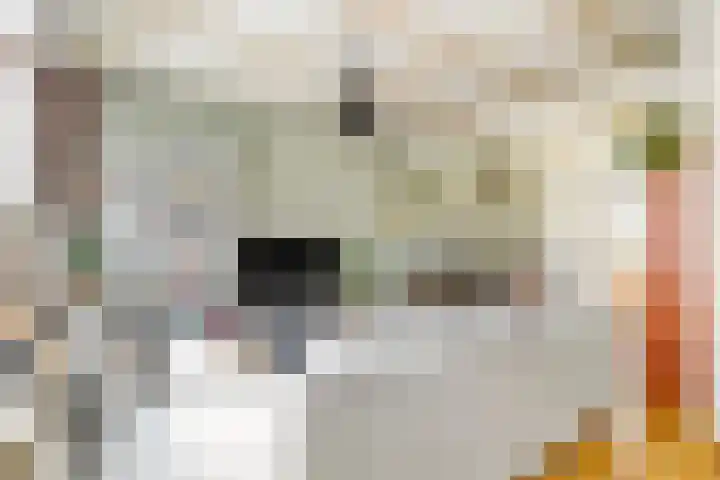 Beukenlaan 6 Zaandijk thumbnail 13
