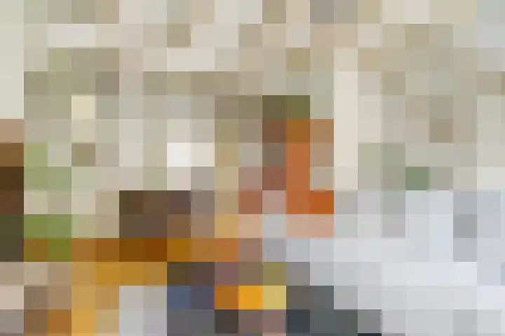 Beukenlaan 6 Zaandijk thumbnail 14