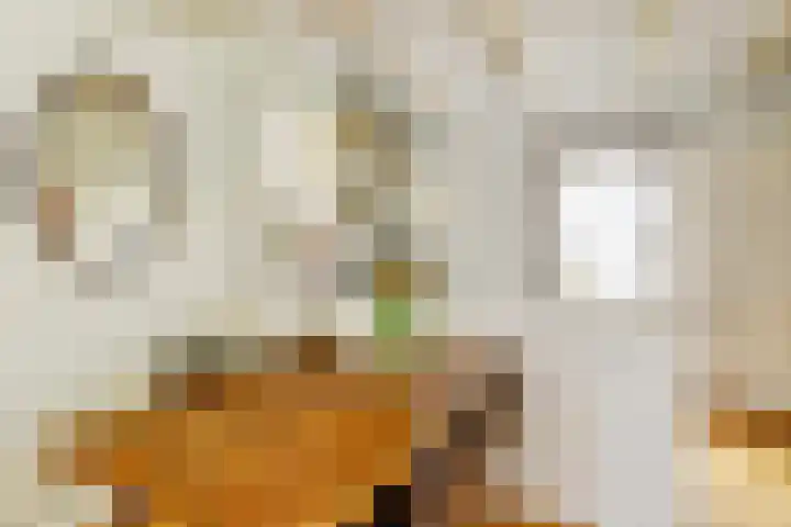 Beukenlaan 6 Zaandijk thumbnail 15