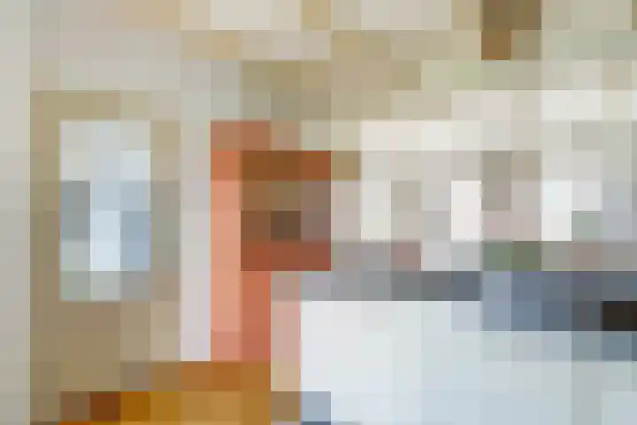 Beukenlaan 6 Zaandijk thumbnail 16