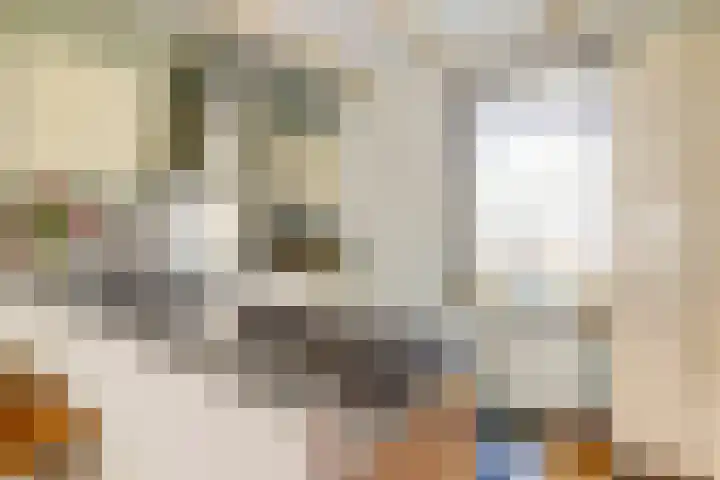 Beukenlaan 6 Zaandijk thumbnail 19