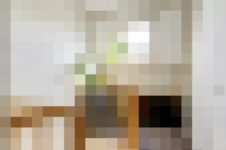 Beukenlaan 6 Zaandijk thumbnail 21