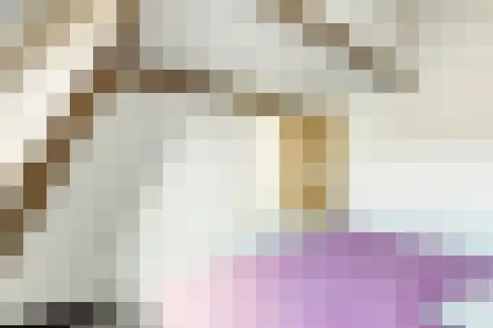 Beukenlaan 6 Zaandijk thumbnail 24