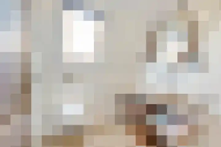 Beukenlaan 6 Zaandijk thumbnail 26