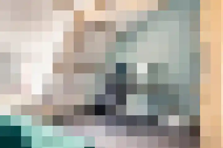 Beukenlaan 6 Zaandijk thumbnail 32