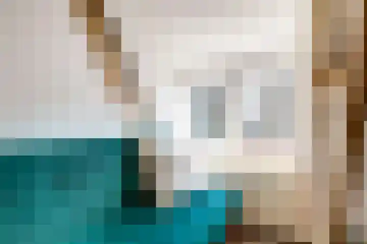 Beukenlaan 6 Zaandijk thumbnail 34