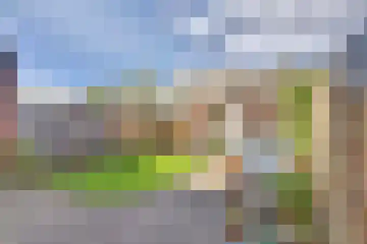 Beukenlaan 6 Zaandijk thumbnail 37