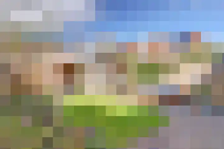 Beukenlaan 6 Zaandijk thumbnail 39