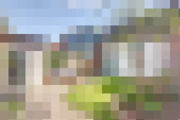 Beukenlaan 6 Zaandijk thumbnail 45