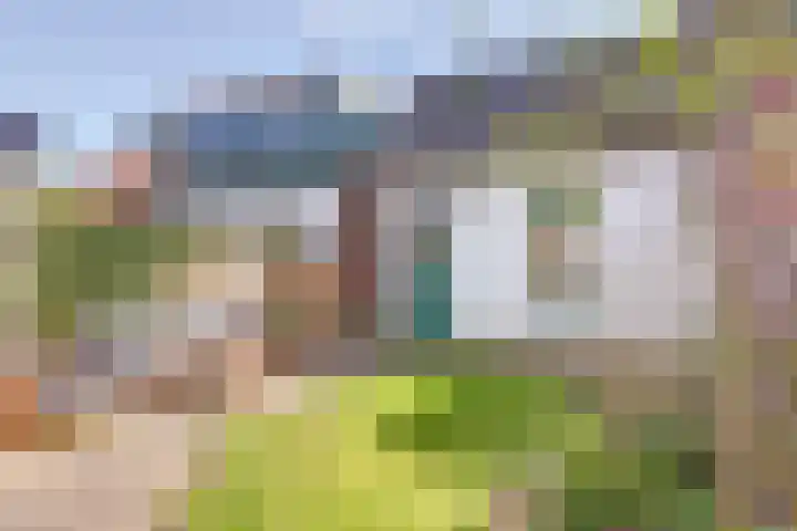 Beukenlaan 6 Zaandijk thumbnail 47
