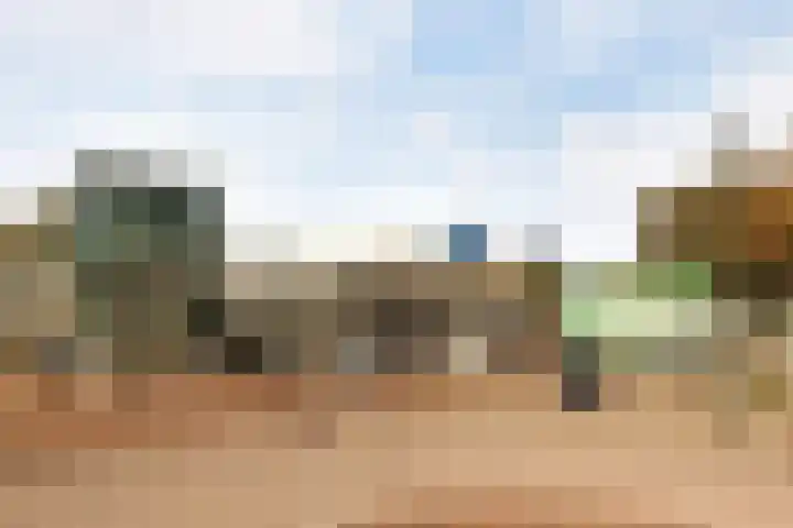 Beukenlaan 6 Zaandijk thumbnail 59