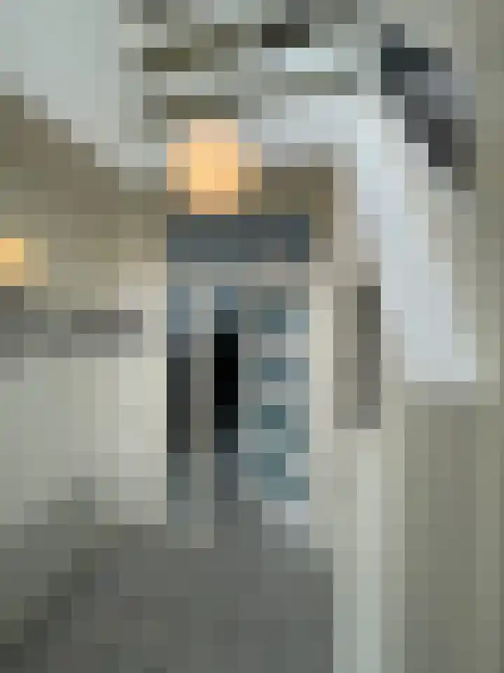 Beukenlaan 60 Oud Gastel thumbnail 10