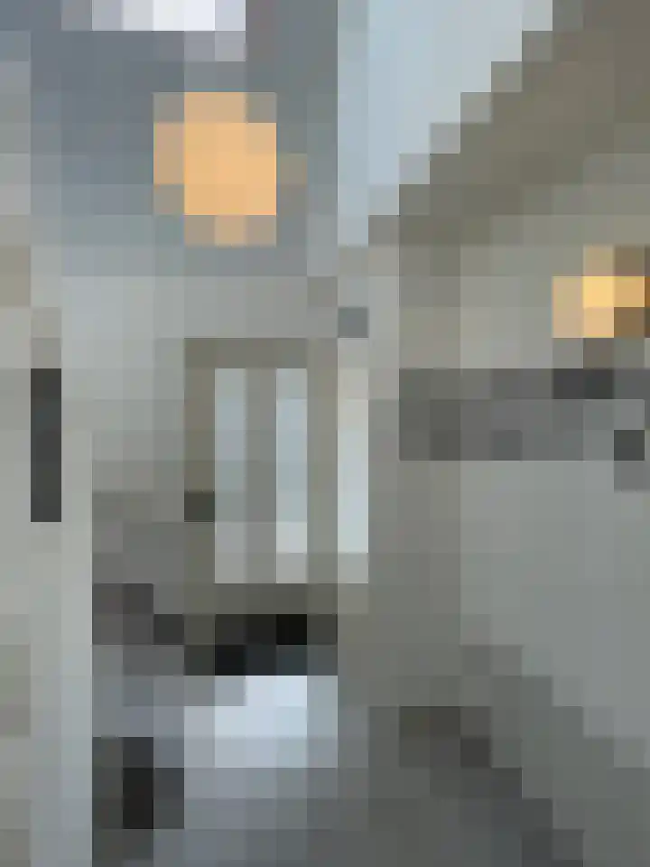 Beukenlaan 60 Oud Gastel thumbnail 13