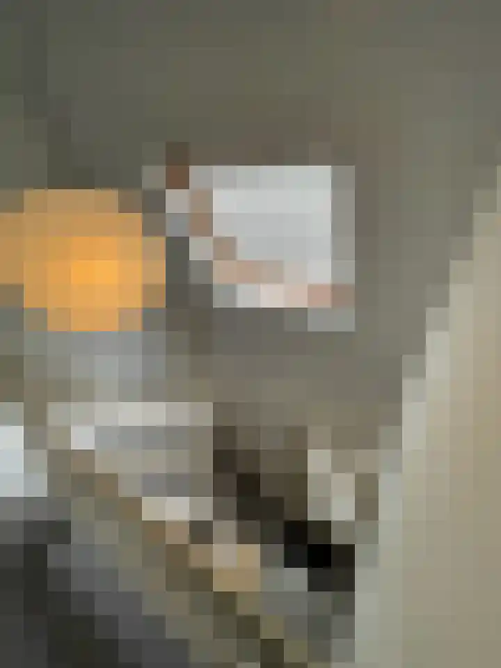 Beukenlaan 60 Oud Gastel thumbnail 15