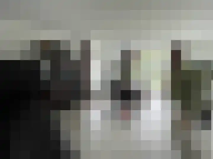 Beukenlaan 60 Oud Gastel thumbnail 22