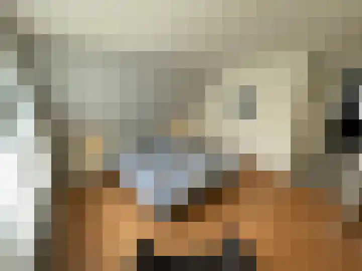 Beukenlaan 60 Oud Gastel thumbnail 28
