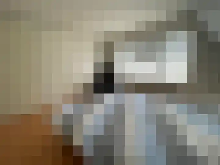 Beukenlaan 60 Oud Gastel thumbnail 29