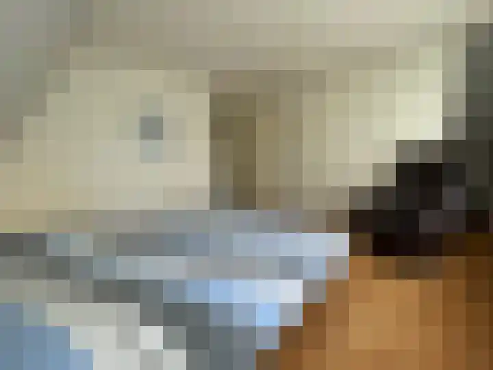 Beukenlaan 60 Oud Gastel thumbnail 30