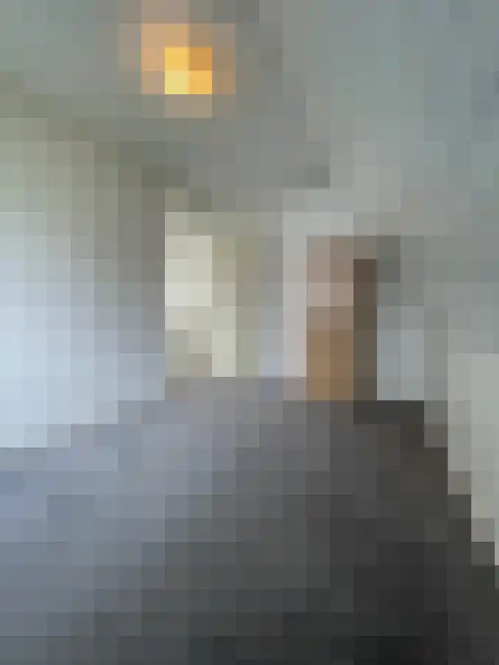 Beukenlaan 60 Oud Gastel thumbnail 33