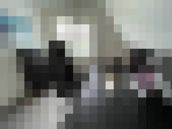Beukenlaan 60 Oud Gastel thumbnail 34