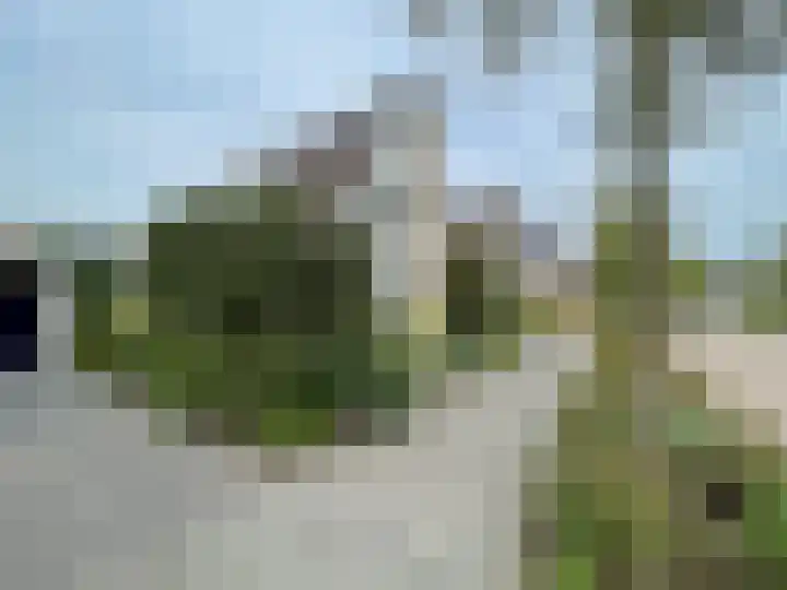 Beukenlaan 60 Oud Gastel thumbnail 4