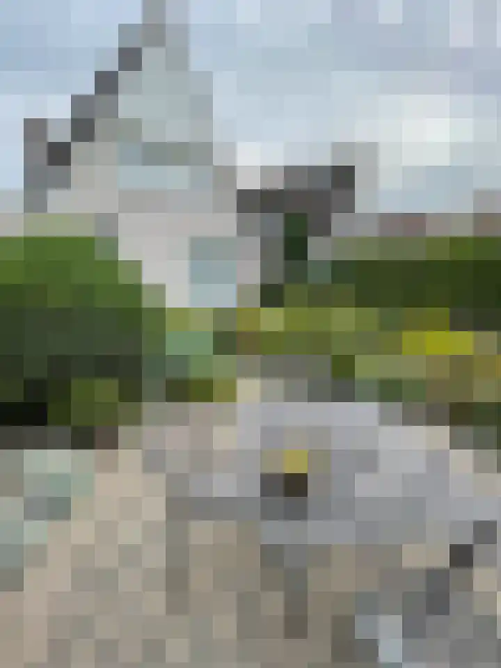 Beukenlaan 60 Oud Gastel thumbnail 43