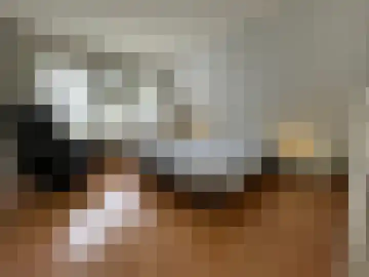 Beukenlaan 60 Oud Gastel thumbnail 7