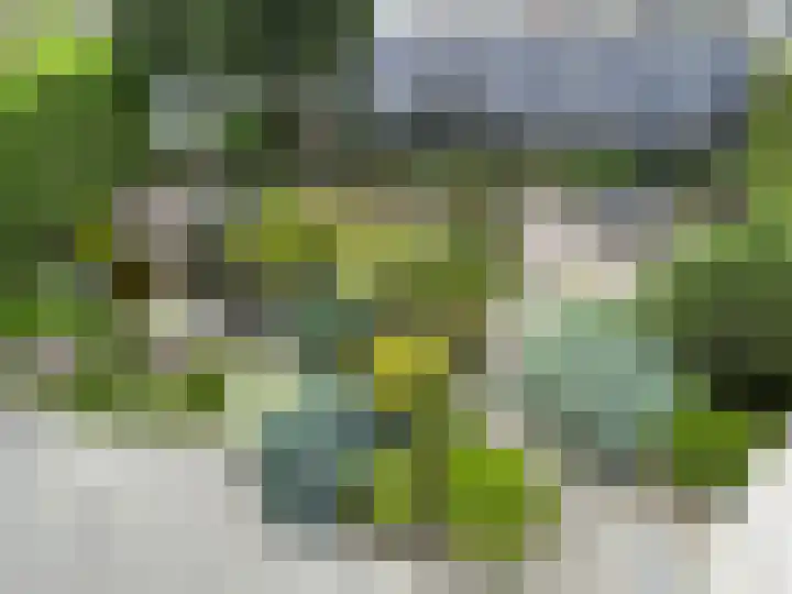 Beukenlaan 60 Oud Gastel thumbnail 8