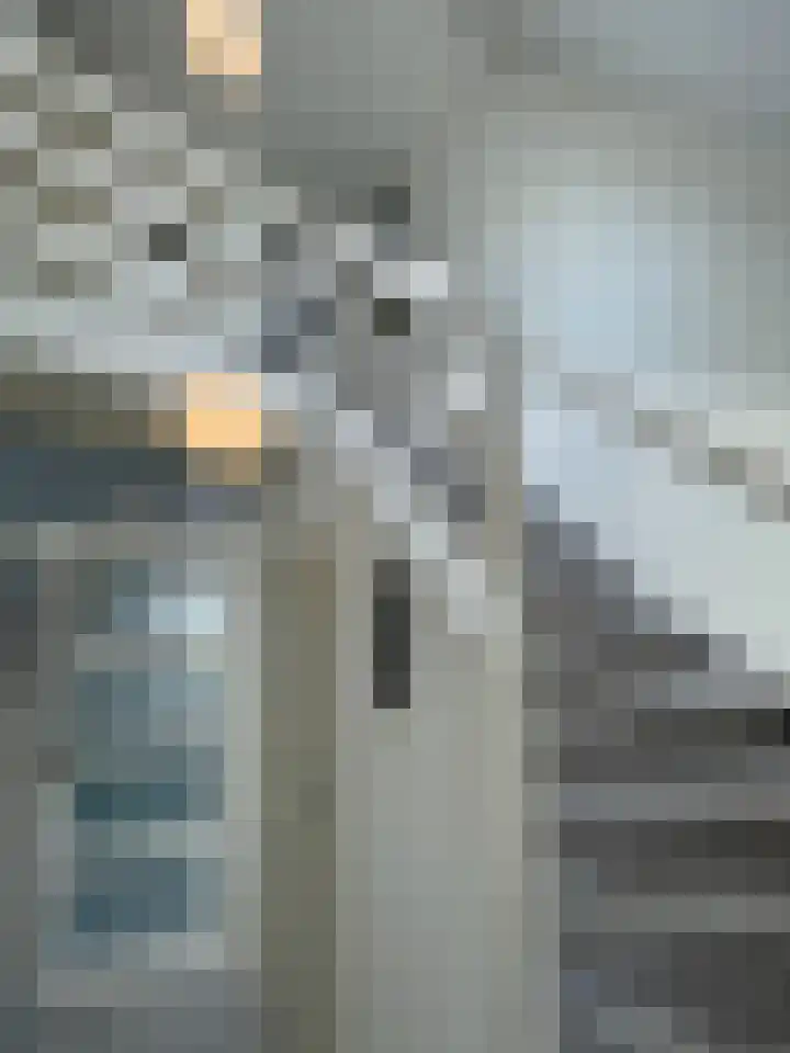 Beukenlaan 60 Oud Gastel thumbnail 9