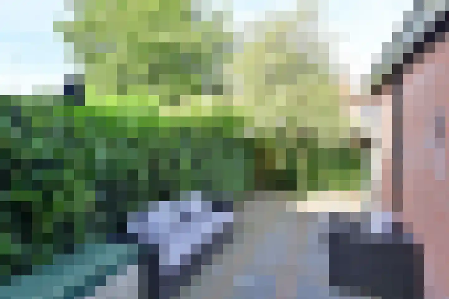 Beukenlaan 61 Loosdrecht thumbnail 6