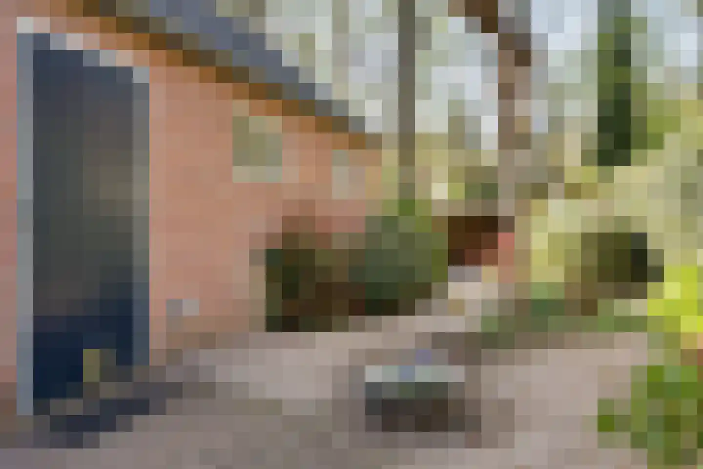 Beukenlaan 61 Zuidlaren thumbnail 13