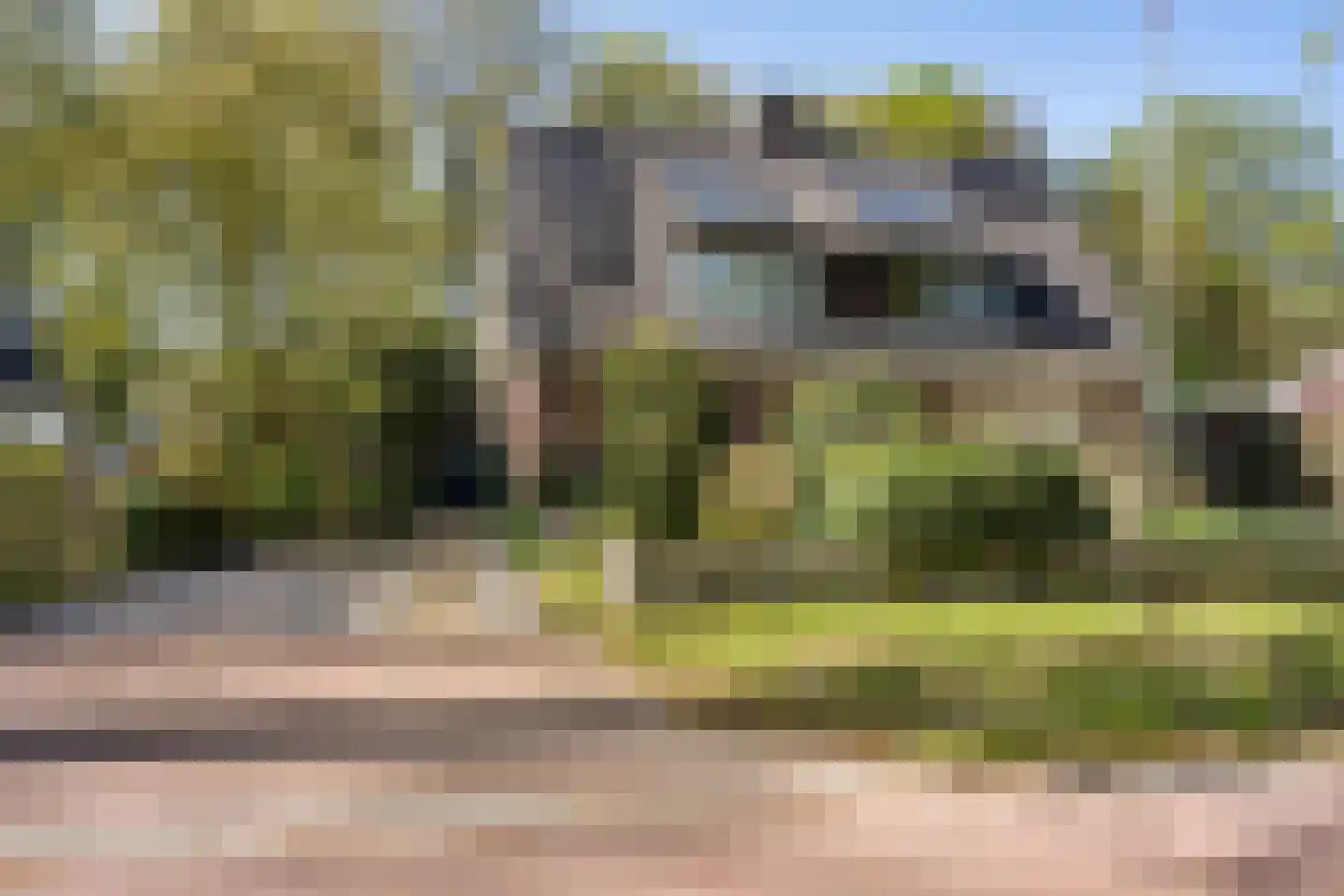 Beukenlaan 61 Zuidlaren thumbnail 31
