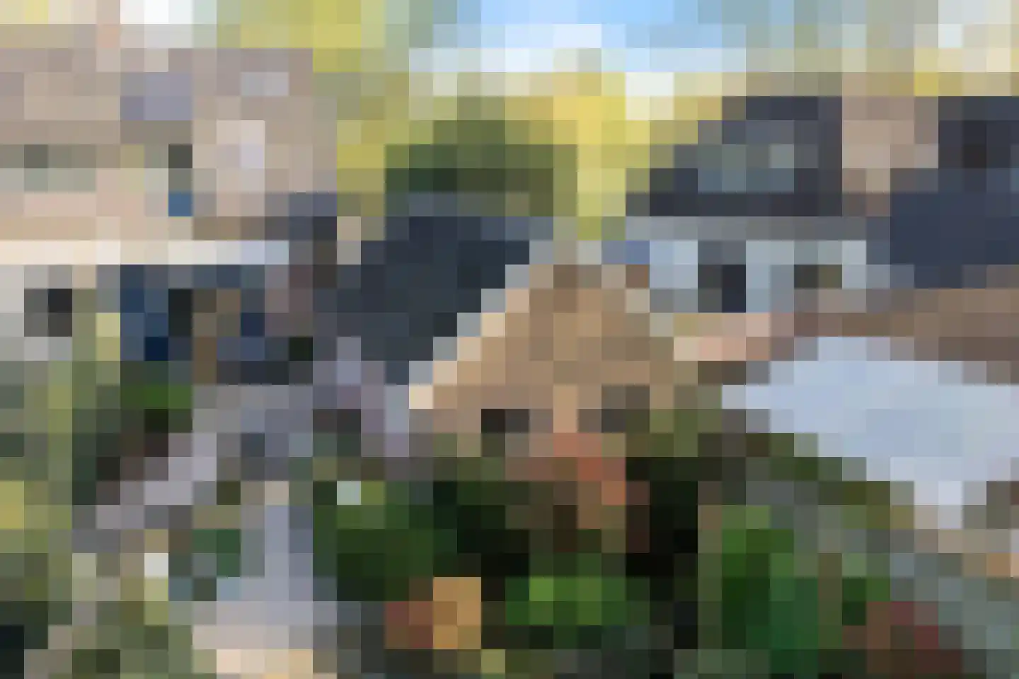 Beukenlaan 61 Zuidlaren thumbnail 37