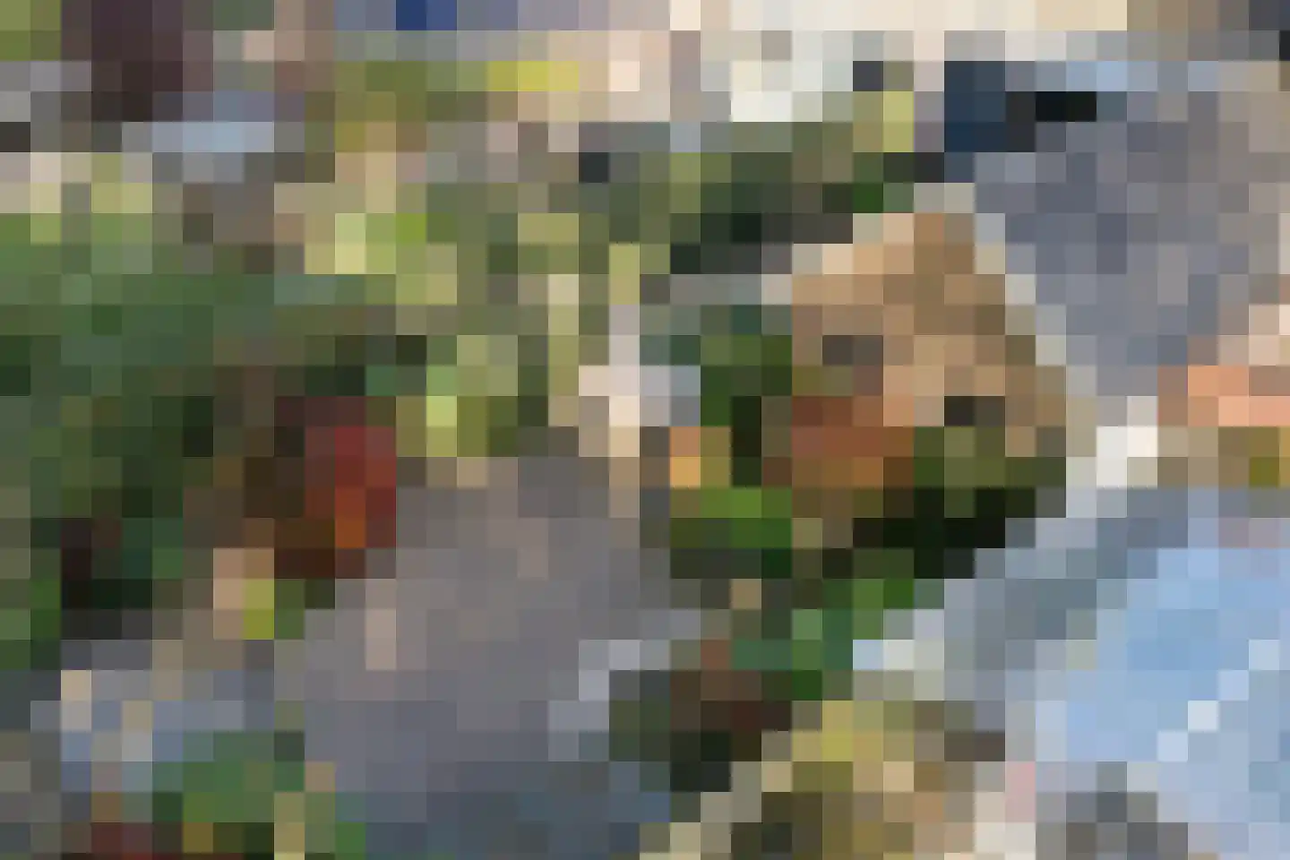 Beukenlaan 61 Zuidlaren thumbnail 38