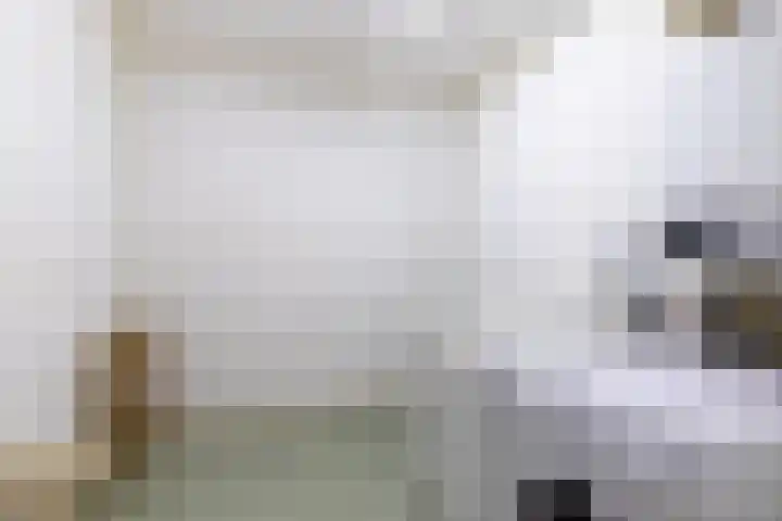 Beukenlaan 62 Scherpenzeel thumbnail 11