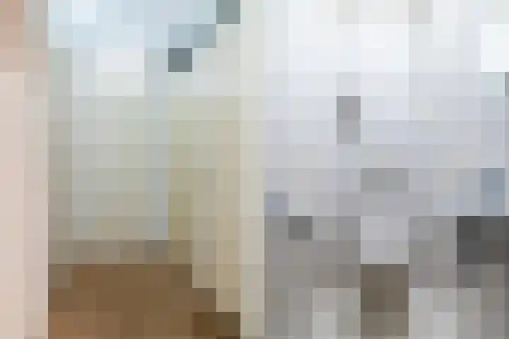 Beukenlaan 62 Scherpenzeel thumbnail 14