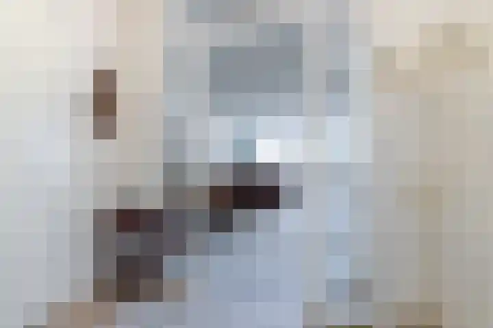 Beukenlaan 62 Scherpenzeel thumbnail 23