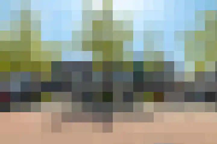 Beukenlaan 62 Scherpenzeel thumbnail 30