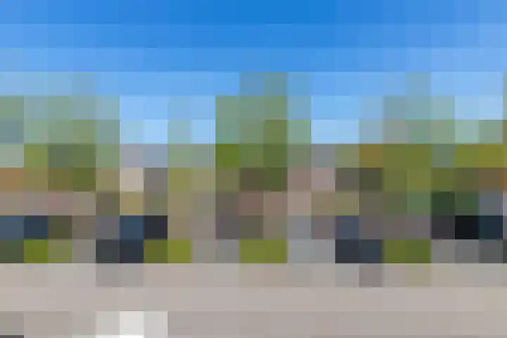 Beukenlaan 62 Scherpenzeel thumbnail 34