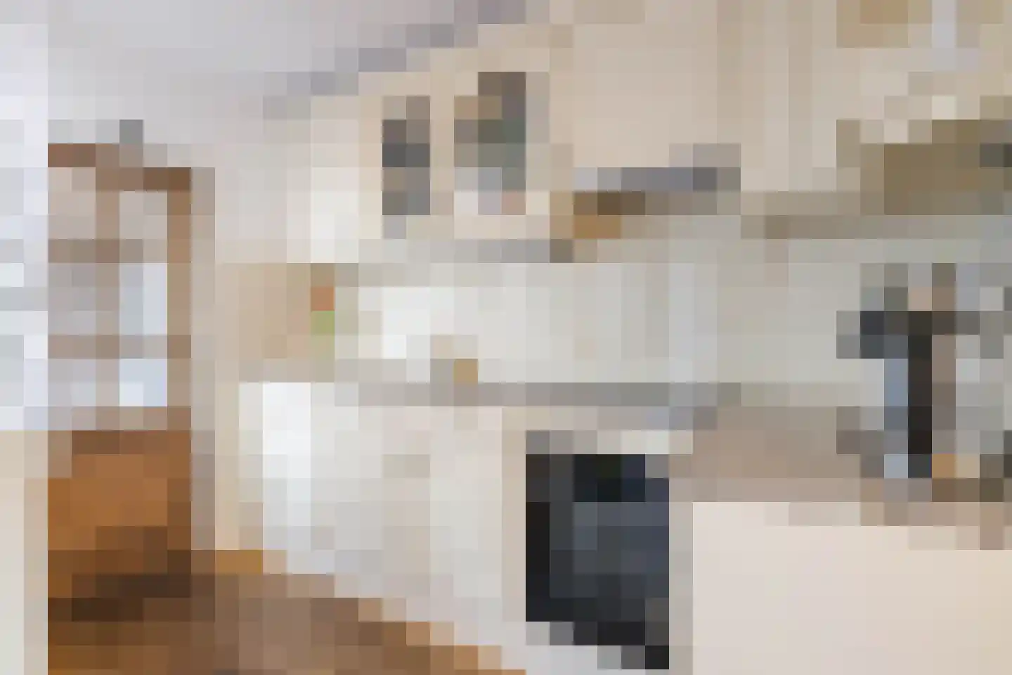Beukenlaan 63 Twisk thumbnail 7