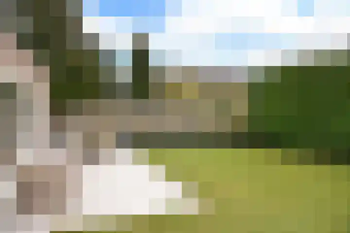 Beukenlaan 64 A Soest thumbnail 19