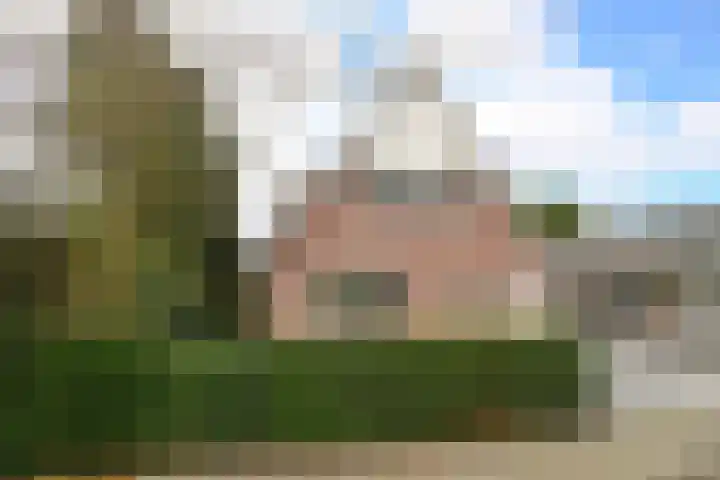 Beukenlaan 64 A Soest thumbnail 20