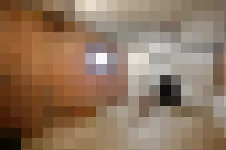 Beukenlaan 67 Bunde thumbnail 19