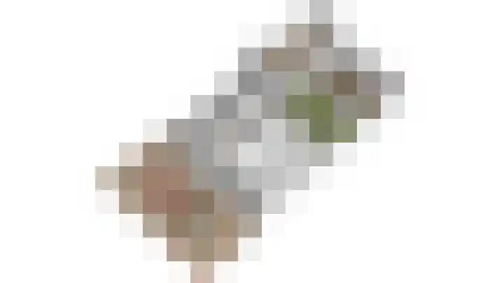 Beukenlaan 67 Bunde thumbnail 21