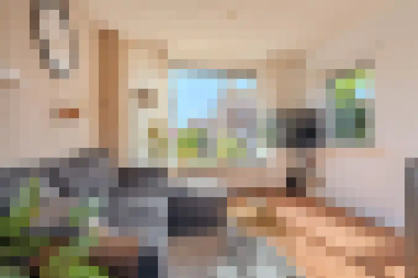 Beukenlaan 67 Winschoten thumbnail 22