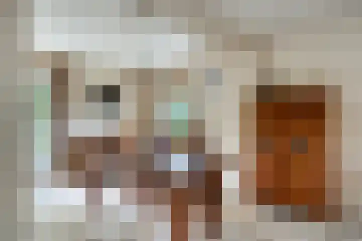 Beukenlaan 7 Dronten thumbnail 15