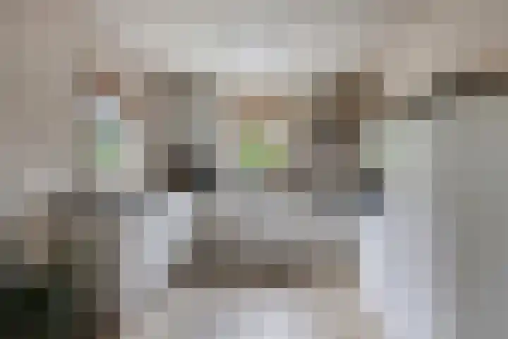 Beukenlaan 7 Dronten thumbnail 16