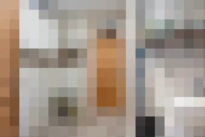 Beukenlaan 7 Dronten thumbnail 19